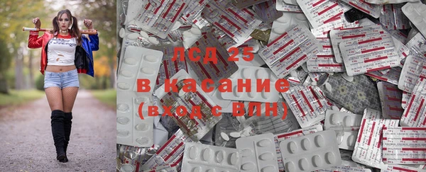 стаф Болохово