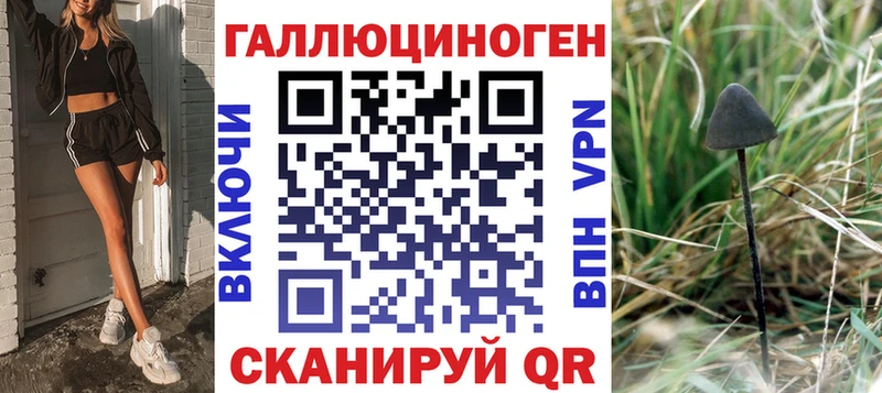 Псилоцибиновые грибы Cubensis  Курильск 