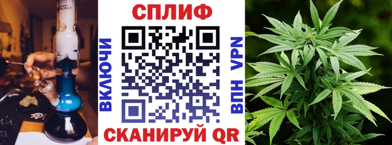 закладка  Курильск  Бошки Шишки White Widow 